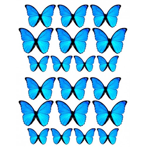 Teal Wafer butterflies